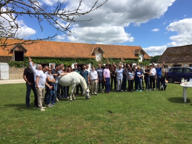 teambuilding avec des chevaux pour le groupe Dell