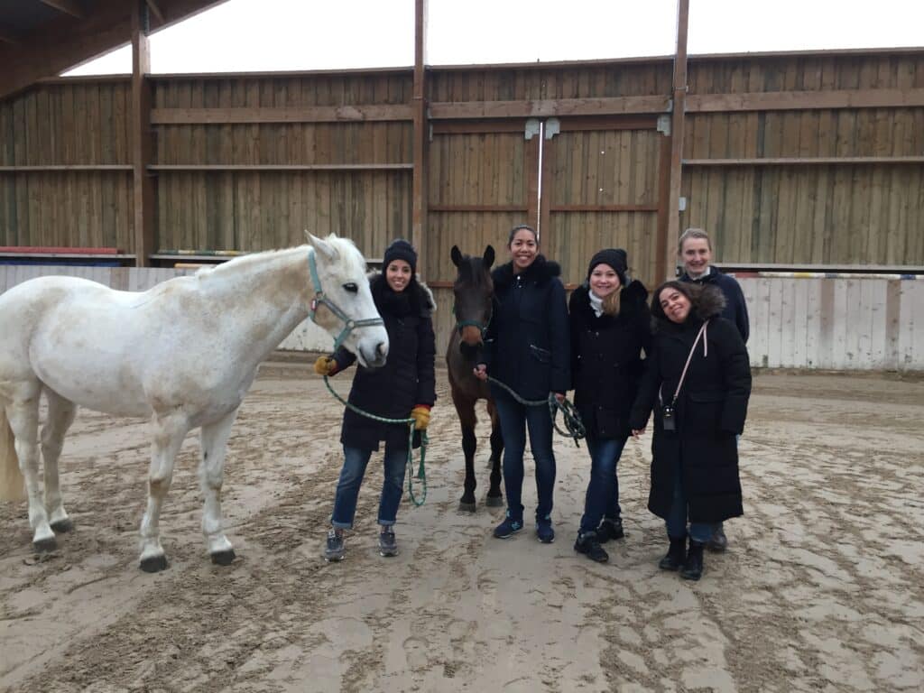 travail sur les techniques de communication avec le cheval