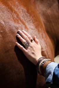 relation homme cheval lors d'un séance d'équicoaching