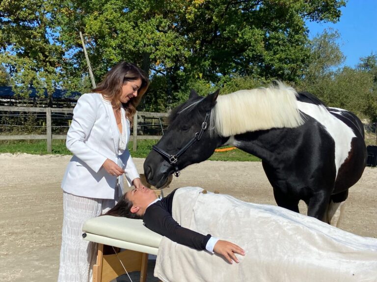 bien être et cheval
