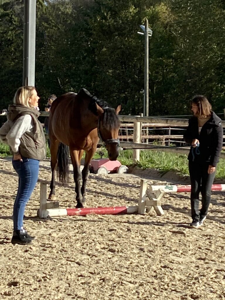 Manager en séance d’équicoaching en Île-de-France travaillant la posture et le leadership