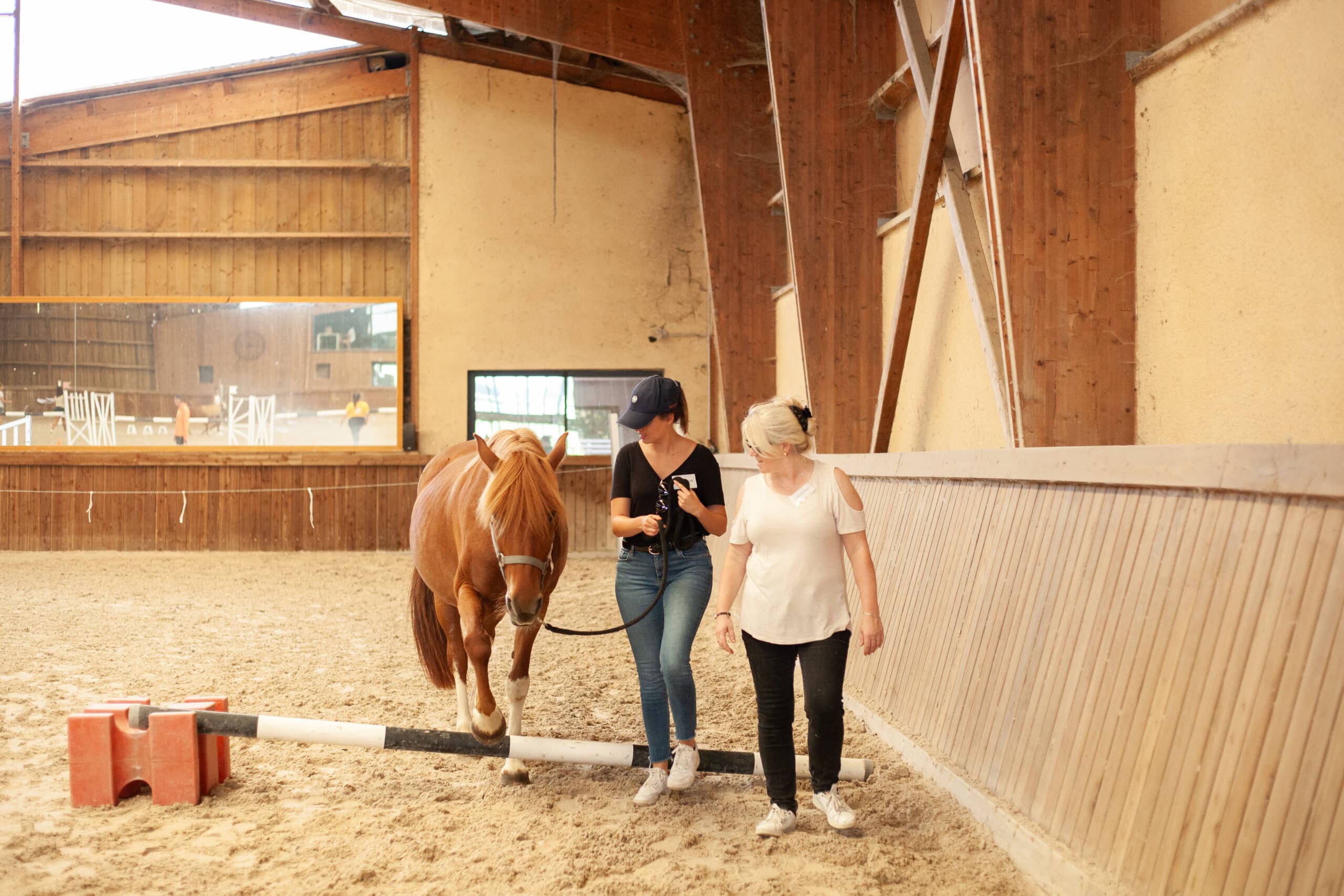 Séance d’équicoaching en Île-de-France avec un dirigeant travaillant son leadership au contact du cheval