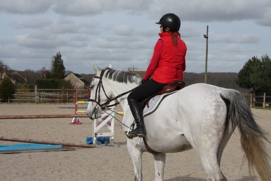 Travail de préparation mentale en Île-de-France grâce à l’interaction avec le cheval