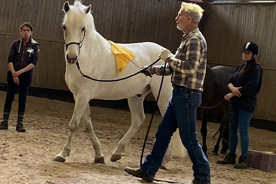 Stage de développement personnel à cheval en Île-de-France avec Thierry-Lhermitte